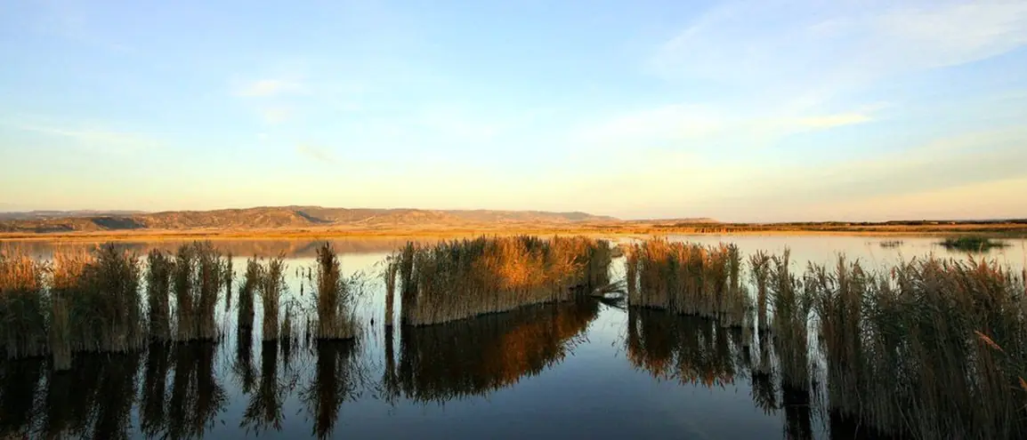 Pitillas, en Navarra
